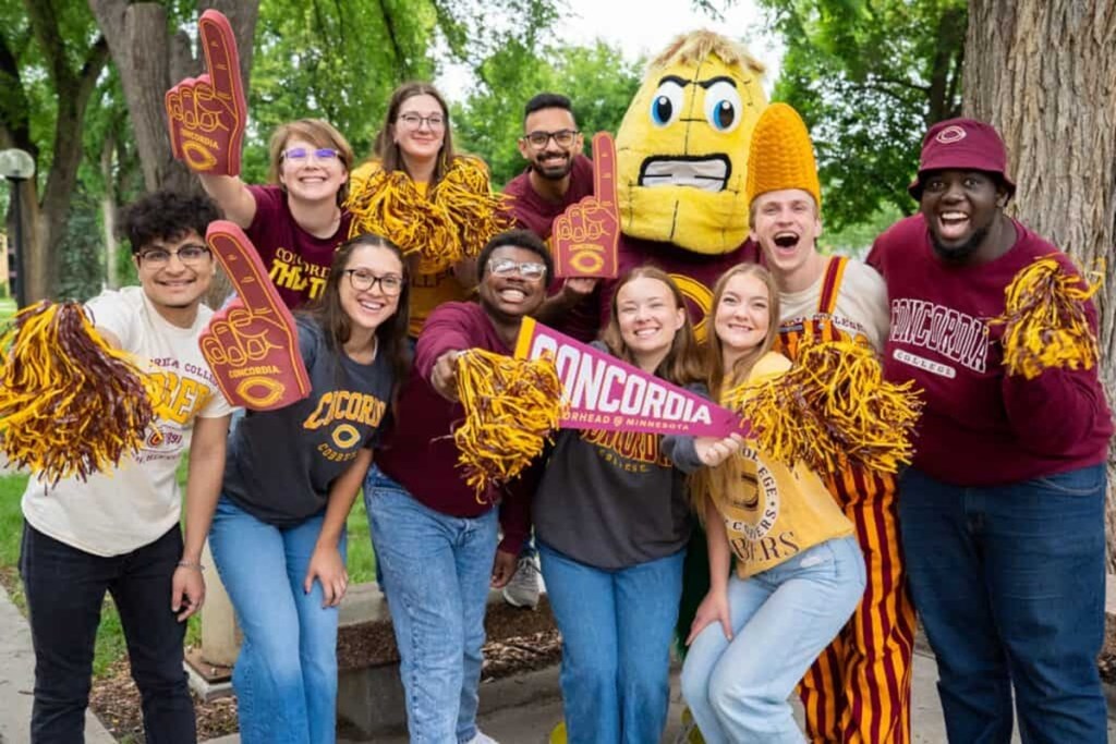 Minnesota colleges