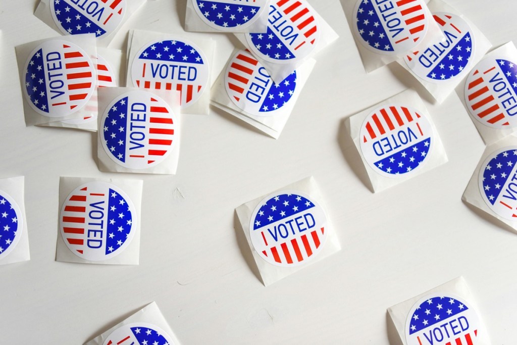 voting in Minnesota