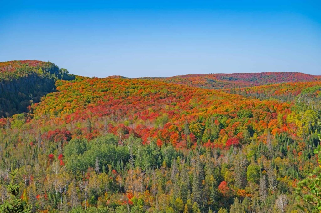 leaf peeping in Minnesota