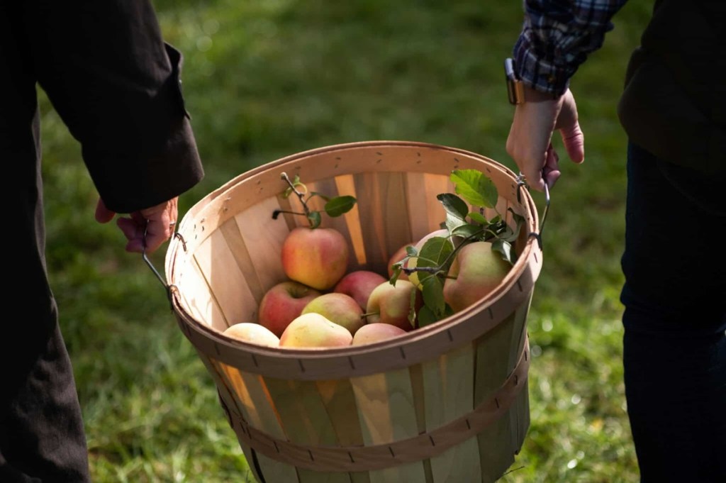 orchards in Minnesota