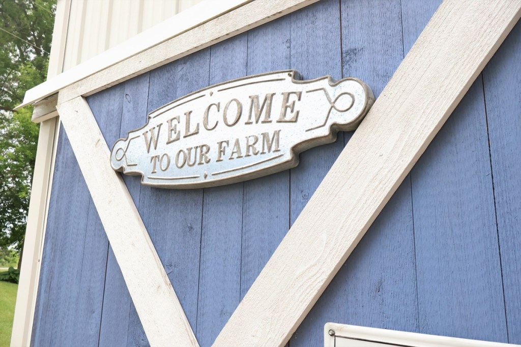 pumpkin patches in St. Cloud